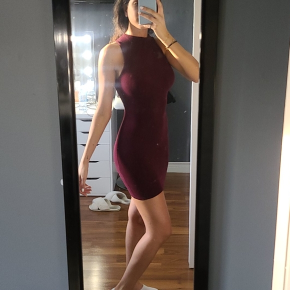 Sleeveless turtle dress in burgundy - Picture 5 of 5